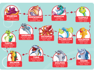 A chart showing levels in a swim program, with cartoon aquatic animals representing each stage from infant (starfish) to school-aged (shark, dolphin, tuna, salmon, flying fish, turtle, goldfish). Much like the Parable of the Soil illustrating spiritual growth and producing fruit over time, each level reflects a young swimmer's journey as they develop new skills and confidence.