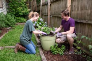 Two people kneel in a garden, wearing gloves, and tend to a large potted plant near a wooden fence on a grassy lawn, embodying the spirit of the Parable of the Soil as they nurture both spiritual growth and new life.
