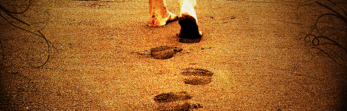 Barefoot man walking away on sandy ground, leaving a visible trail of footprints behind him—a quiet expression of masculinity in motion.