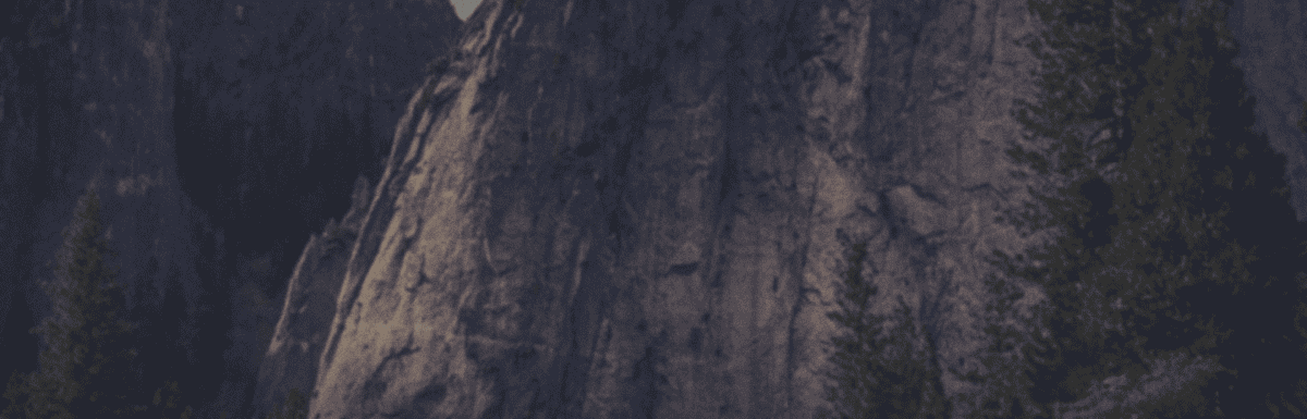 Towering granite cliffs, symbols of resilience, rise above a forest of evergreen trees.